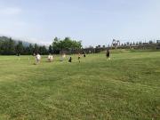 IMG-20220614-WA0013