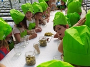 IMG_20220602_110042