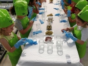 IMG_20220602_110133