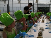 IMG_20220602_110145