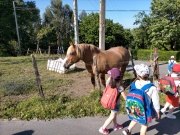 IMG20210607095713