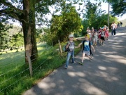 IMG20210607095858