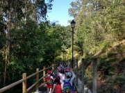 IMG20210607101117
