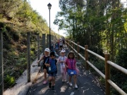 IMG20210607101144