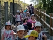 IMG20210607101153
