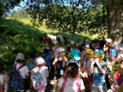 IMG20210607104919