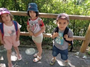 IMG20210607105047