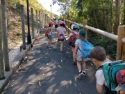 IMG20210607105340