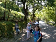 IMG20210607110429