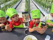 IMG-20240606-WA0008
