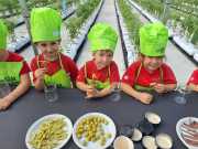 IMG-20240606-WA0014