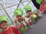 IMG-20240606-WA0016