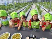 IMG-20240606-WA0017