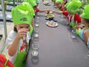 IMG-20240606-WA0019