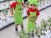 IMG-20240606-WA0031