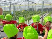 IMG-20240606-WA0040