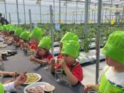 IMG-20240606-WA0042