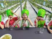 IMG-20240606-WA0051