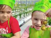 IMG-20240606-WA0052