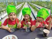 IMG-20240606-WA0053