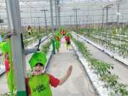IMG-20240606-WA0067