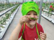 IMG-20240606-WA0069