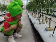 IMG-20240606-WA0070