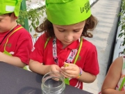 IMG_20240606_105323