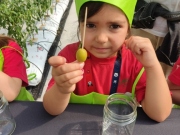 IMG_20240606_105330