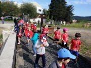 IMG_20190606_101354