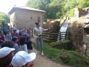 IMG_20190606_104002