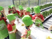 IMG_20190606_110101