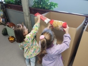 IMG_20241106_115639