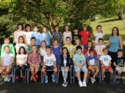 LH 3B