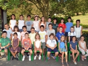LH 3B