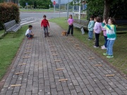 IMG_20260505_112707