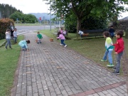 IMG_20260505_113014