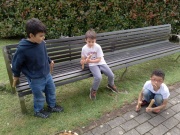 IMG_20260505_113320