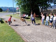 IMG_20260507_111422
