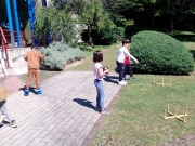 IMG_20260507_113042