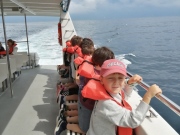 IMG_20230613_114013