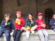 IMG20240611144232