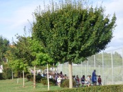 P1040833
