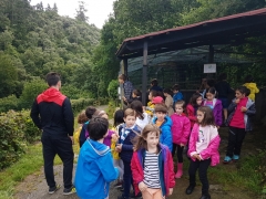 Ibilaldia LH 2 Basondo, 2018-06-12