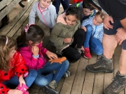 IMG-20180613-WA0047