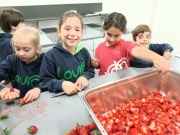 IMG_20260505_094220662