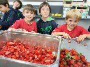 IMG_20260505_094249954