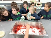 IMG_20260505_094940820