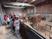 1685091049063