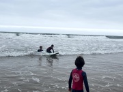 IMG_8651